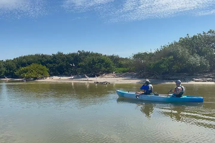 Wildlife Refuge Manatee, Dolphin & Mangrove Kayak or Paddleboarding...