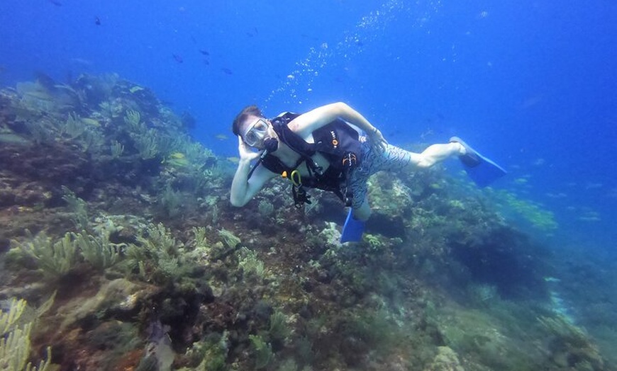 Image 2: VIP Beginner Diving Experience: MUSA Statues & Reef Adventure