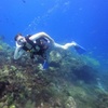 Image 2: VIP Beginner Diving Experience: MUSA Statues & Reef Adventure