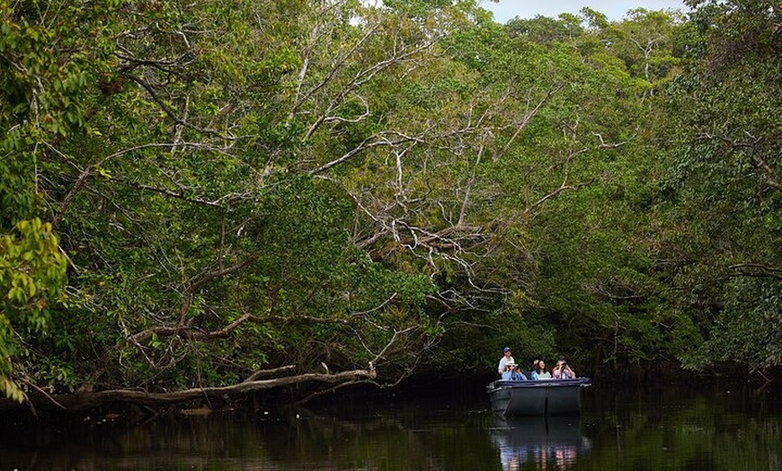 Image 18: Daintree River 'Sunset' Cruise with the Daintree Boatman