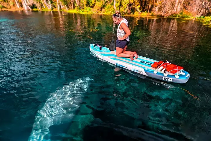 Silver Springs Manatee & Monkeys Paddle Board Tour