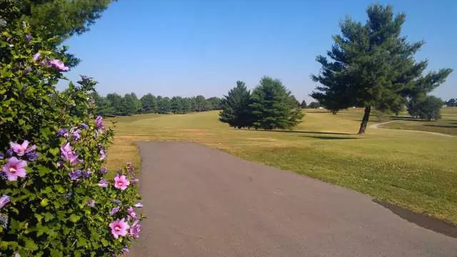 Online Booking - Round of Golf at The Pines at Lindsey Wilson - Primary Image