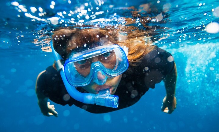 Image 4: Visita a Palma en speedboat desde Can Pastilla