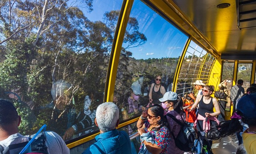 Image 29: PRIVATE Blue Mountains Scenic World Australian Wildlife & Cruise