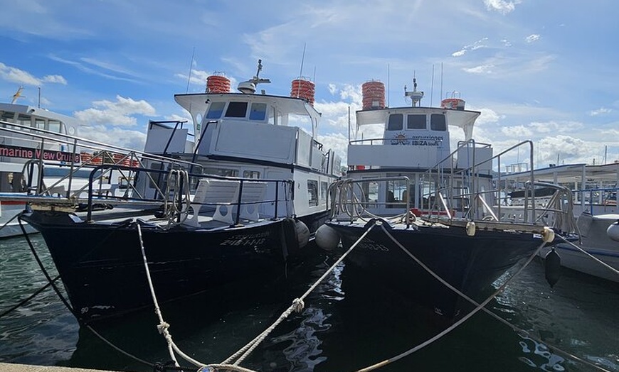 Image 35: Excursión de un día a Illetas en Formentera con Paella y Bebida
