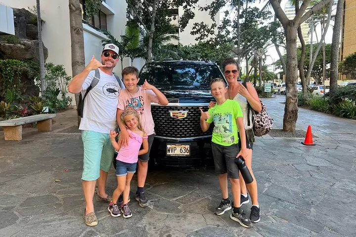 One-Way VIP Transfer: Honolulu Airport, Waikiki, Cruise Port
