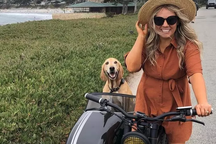 17-Mile Drive Electric Bike Guided Tour