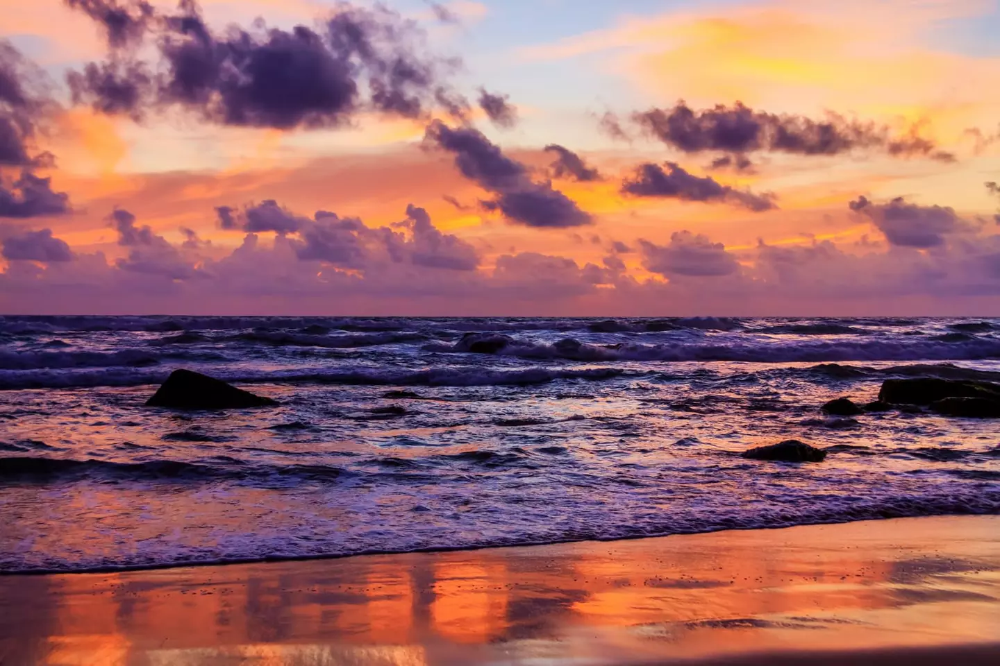 ✈ SRI LANKA | Colombo - Entdeckung der 5 Sinne in Sri Lanka 4*, 8 N...