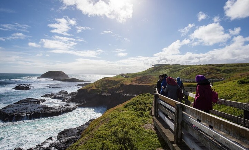 Image 9: Phillip Island Penguin Parade, Wildlife and Beach Boxes Bus Tour