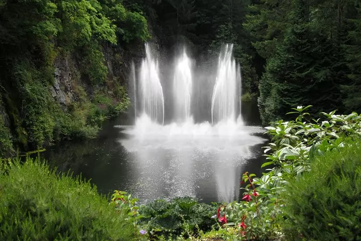 Fully narrated tour of Butchart Gardens and Saanich Peninsula - Second Medium