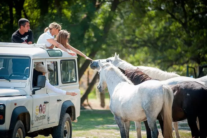 La Camargue en safari VIP en 4x4 au départ d'Arles - Image 4