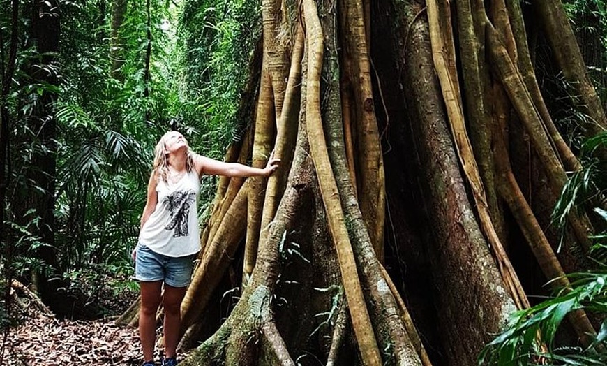 Image 7: Rainforest & Waterfall Experience