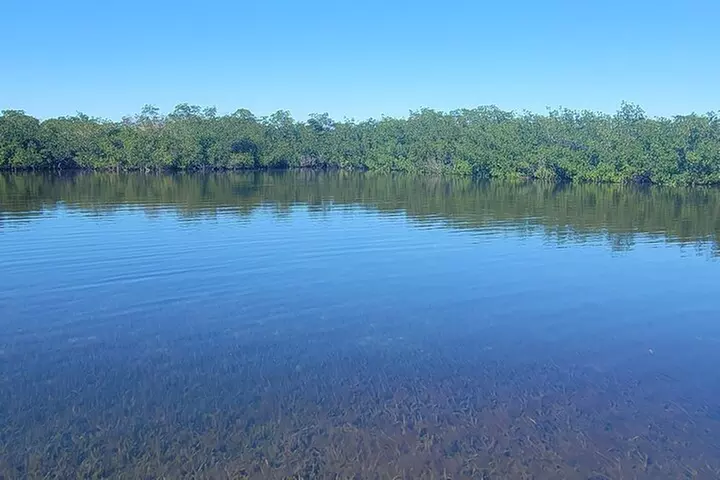 Kayak through Mangrove Forests in the Florida Keys
