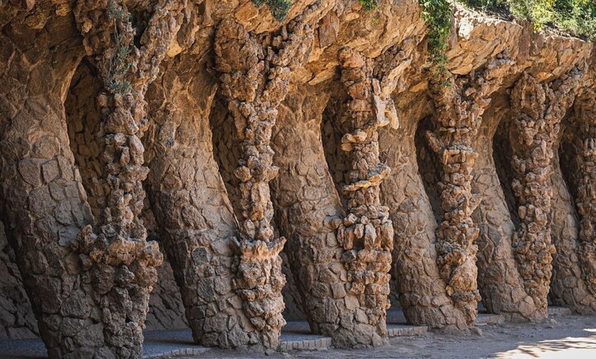 Image 7: Barcelona : Visita Guiada al Park Güell & Entradas con Entrada Rápida