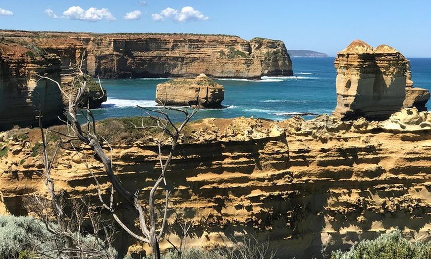 Image 6: Great Ocean Road Reverse Itinerary Boutique Tour - Max 11 Guests