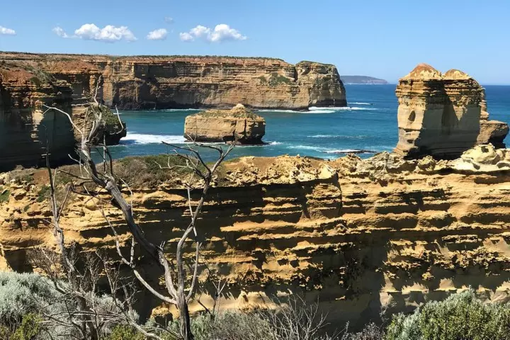 Great Ocean Road Reverse Itinerary Boutique Tour - Max 12 Guests