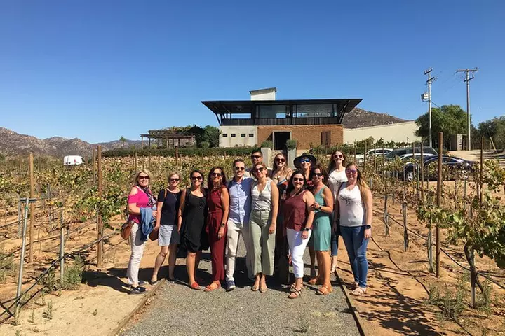 Luxury Private Wine Tasting Tour to Guadalupe Valley from San Diego