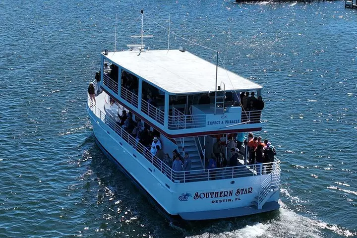 Southern Star Dolphin Cruise - Second Medium