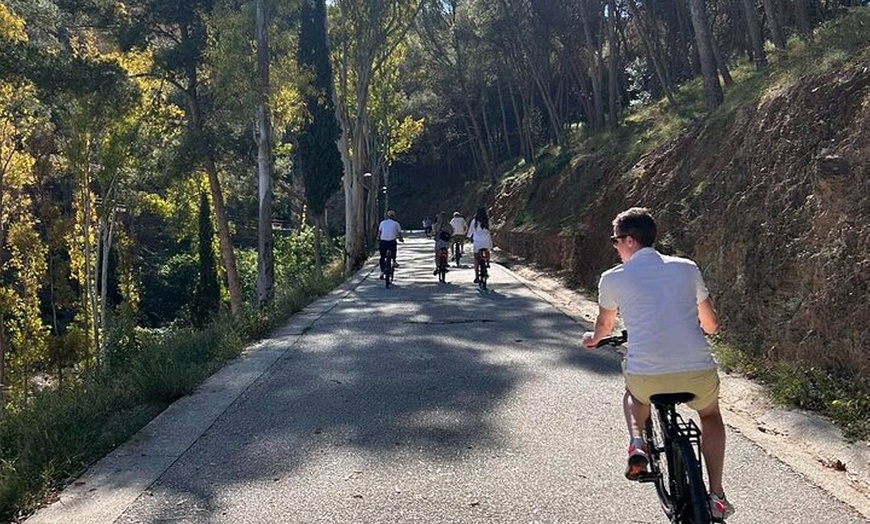 Image 2: Alquiler de bicicletas urbanas en Málaga