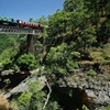 Image 5: Small Group Kuranda Tour via Kuranda Scenic Rail and Skyrail