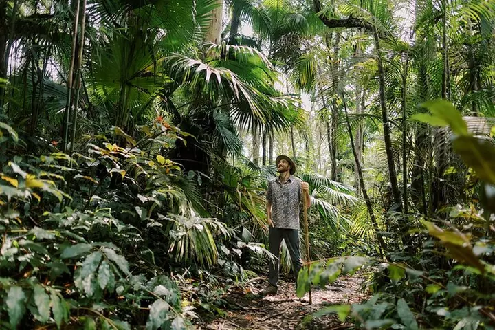 Cloud Forest Sanctuary Jungle Tour - Primary Image