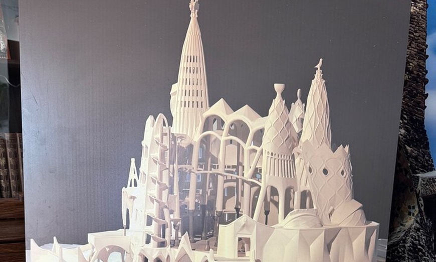 Image 24: Gaudí Unveiled & Premium Wine Escape - Tour Privado