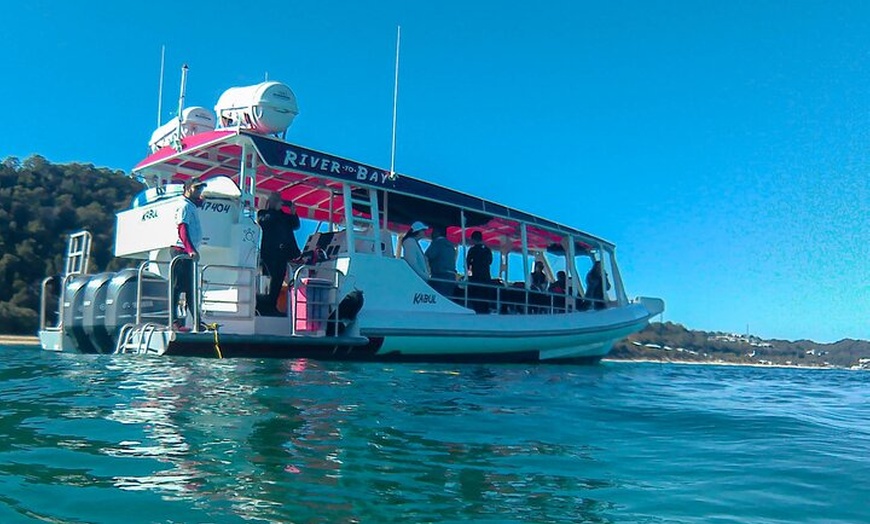 Image 8: Dunwich: Moreton Bay Islands Boat Tour with Swimming