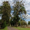 Image 1: Cemetree Tour, Roots of Toowoomba's History from Harristown