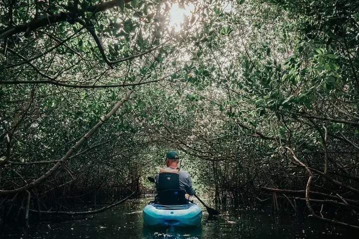 Thousand Islands Mangrove Tunnel Kayak Tour with Cocoa Kayaking!