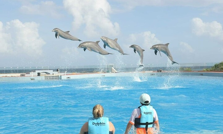 Image 2: Tulum & Dolphin Connection from Cancun