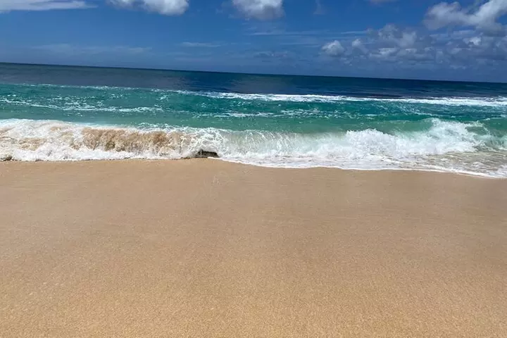 Oahu Island Experience feat the North Shore (Small Group Tour)
