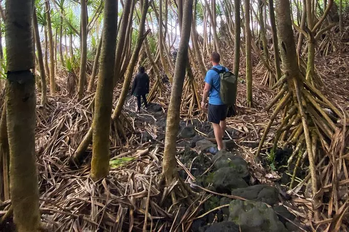 Secret Tide Pool Hike - Jungle & Coast - Private