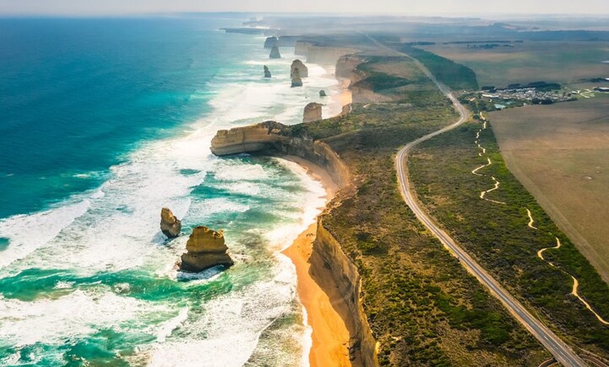 Image 13: Great Ocean Road Tour Plus Koalas, Forest Walk And Morning Tea.