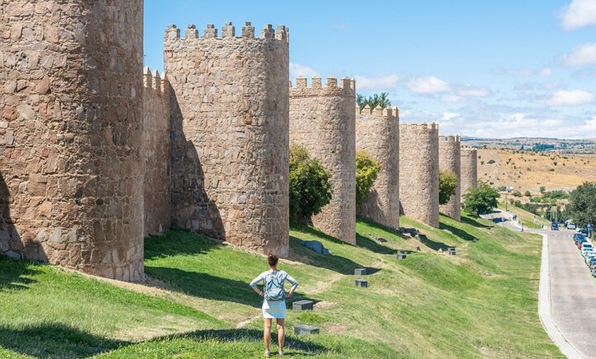 Image 25: Toledo y Segovia Tour de Día Completo con visita opcional a Ávila