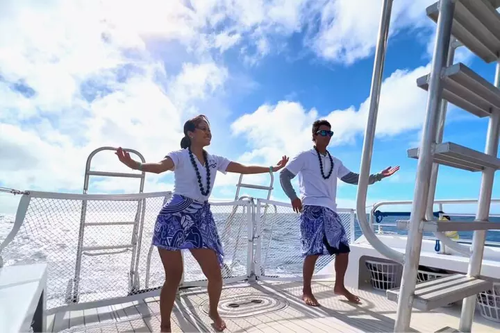 Waikiki Whale Watching Cruise with Snack & Hula Entertainment