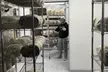 Explore Chicago's Indoor Mushroom Farm Experience - Second Medium
