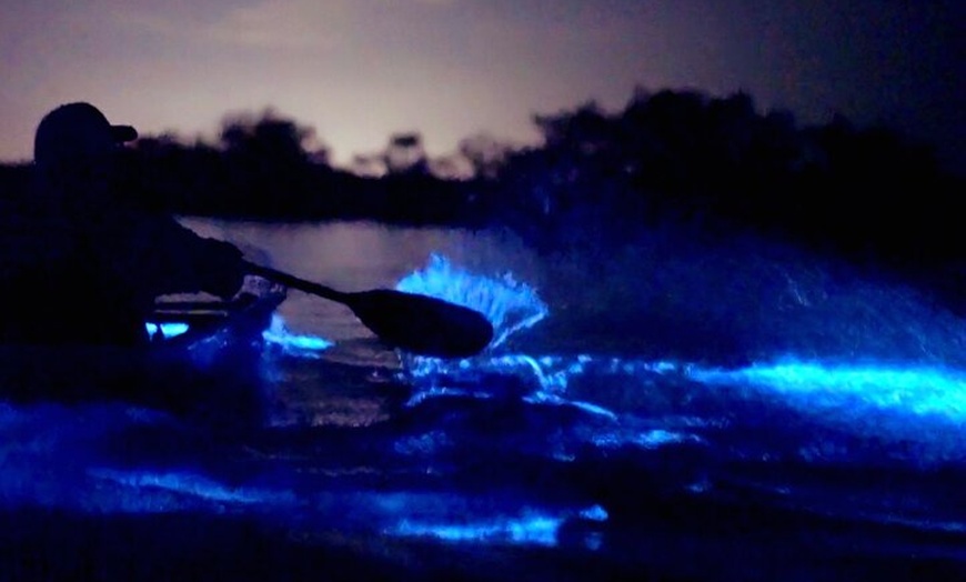 Florida Adventurer - Biolumin... - Florida Adventurer - Bioluminescent ...