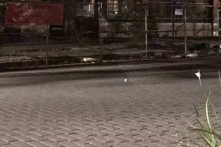 Savannah's 13 Ghosts, Voodoo, Murder & Mystery Tour