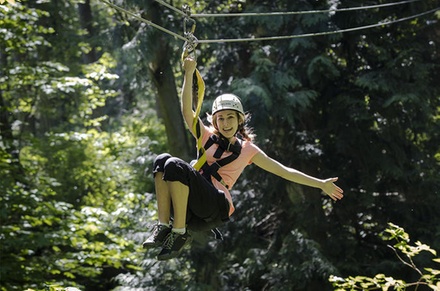 Canopy Tours Northwest - Canopy Tours Northwest | Groupon