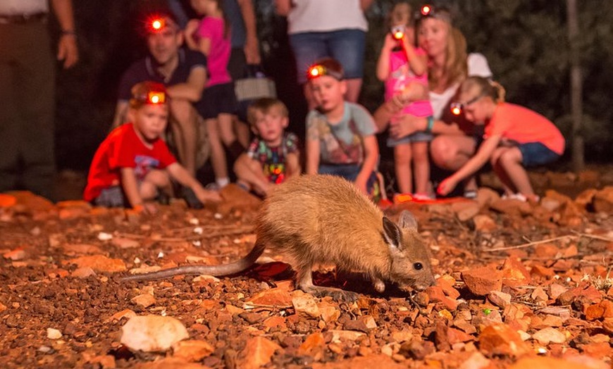 Image 2: Alice Springs Desert Park Nocturnal Tour