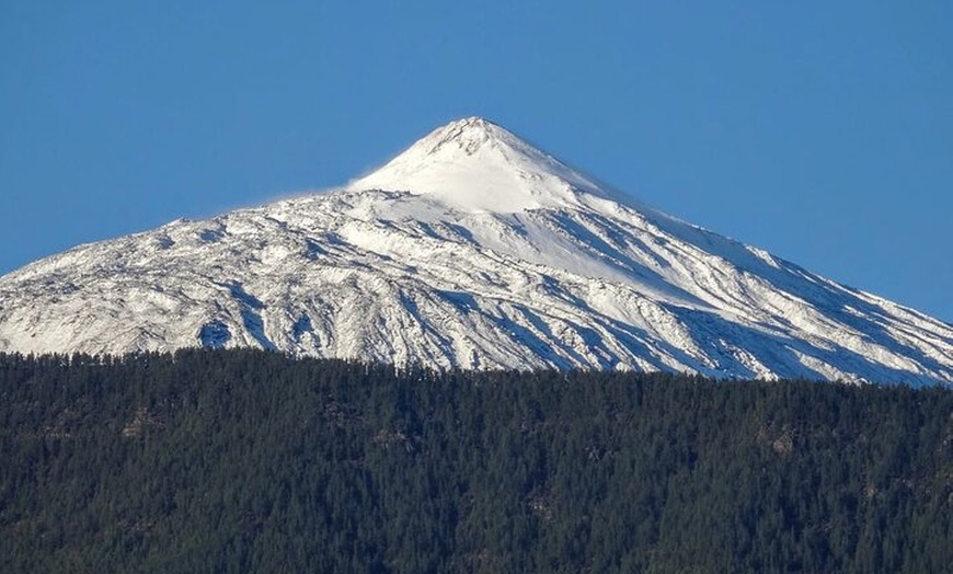 Image 16: Viajes en el tiempo entre los volcanes Trevejo y Chinyero en Tenerife