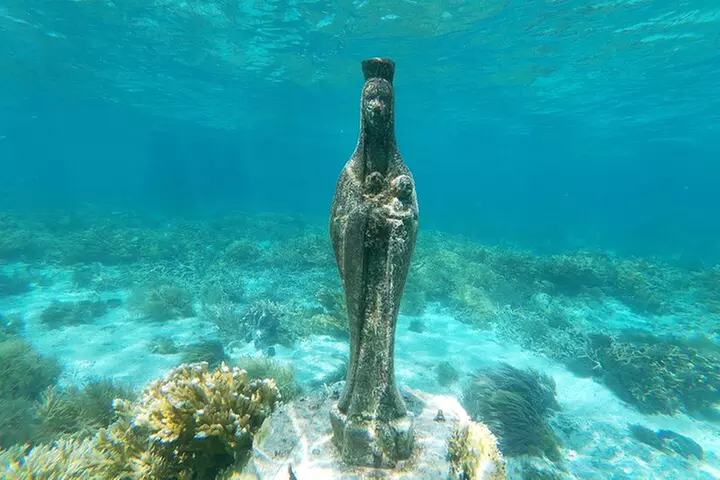 Mixed Trip Fish and Snorkel PRIVATE VIP TOUR 1 to 6 PEOPLE - Second Medium