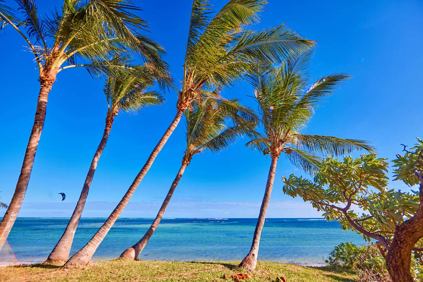 ✈ MAURITIUS | Le Morne - Riu Turquoise Mauritius 4*, 5 Nächte - Ide...