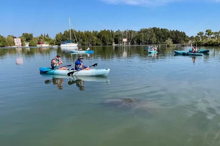 Wildlife Refuge Manatee, Dolphin & Mangrove Kayak or Paddleboarding...