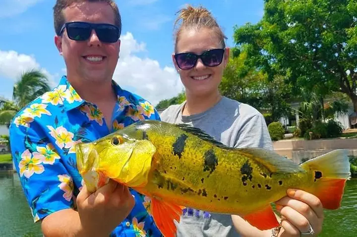Peacock Bass Fishing Trips Near Miami Florida