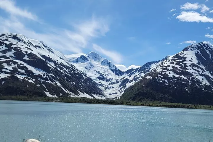 Wilderness, Wildlife, Glacier Experience from Anchorage