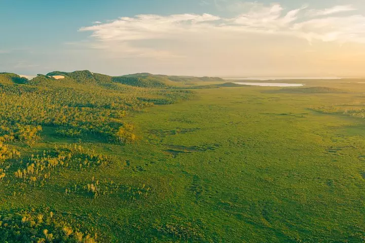 Serenity Cruise to Australia's Everglades