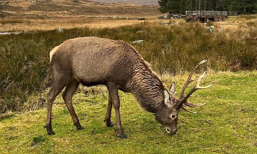 Image 8: Orkney & The North 5 Day Private Tour From Edinburgh & Glasgow