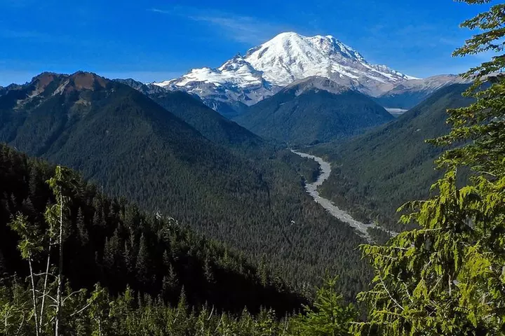Best of Mount Rainier National Park from Seattle: All-Inclusive Sma...