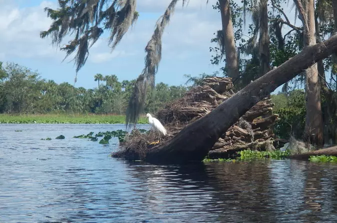 St Johns River Kayak Experience - Primary Image